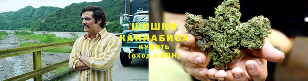 гидра Белокуриха
