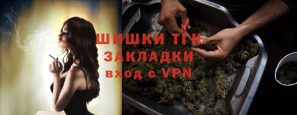 гидра Белокуриха