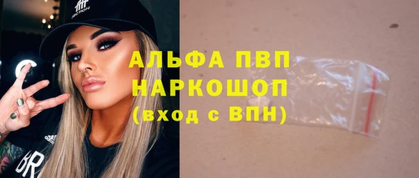 гидра Белокуриха
