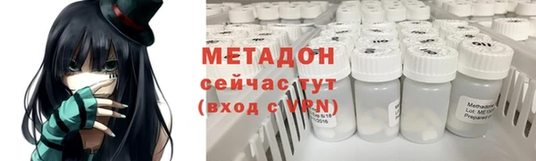 гидра Белокуриха