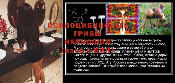 гидра Белокуриха