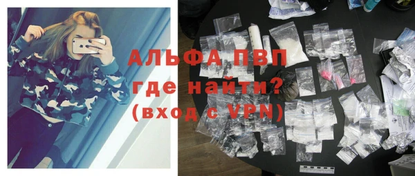 гидра Белокуриха