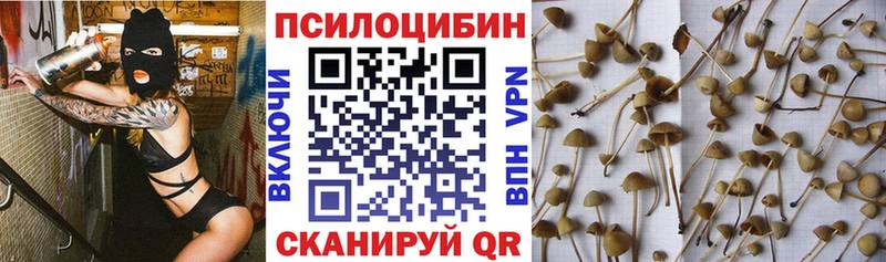 Галлюциногенные грибы Psilocybine cubensis  Мезень 